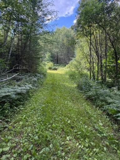 TBD N Moose Lake Road, Pennington, MN 56663