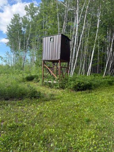 TBD N Moose Lake Road, Pennington, MN 56663