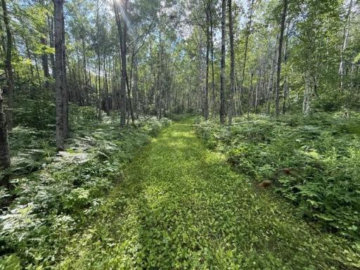 TBD N Moose Lake Road, Pennington, MN 56663