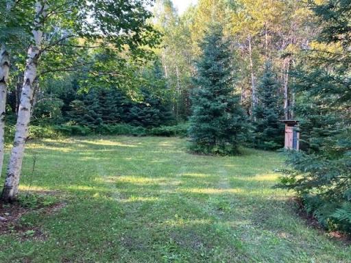 TBD N Moose Lake Road, Pennington, MN 56663