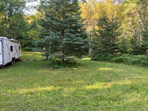 TBD N Moose Lake Road, Pennington, MN 56663
