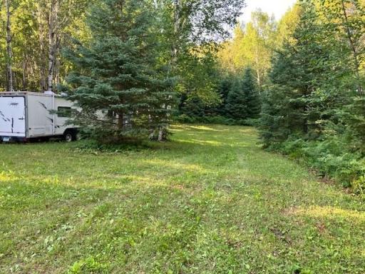 TBD N Moose Lake Road, Pennington, MN 56663