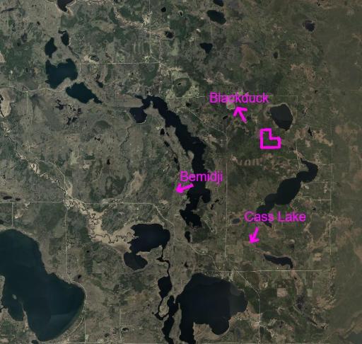 TBD N Moose Lake Road, Pennington, MN 56663