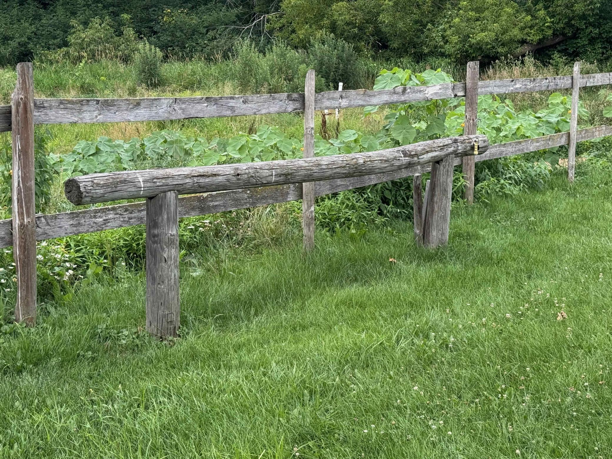 Hitching Post
