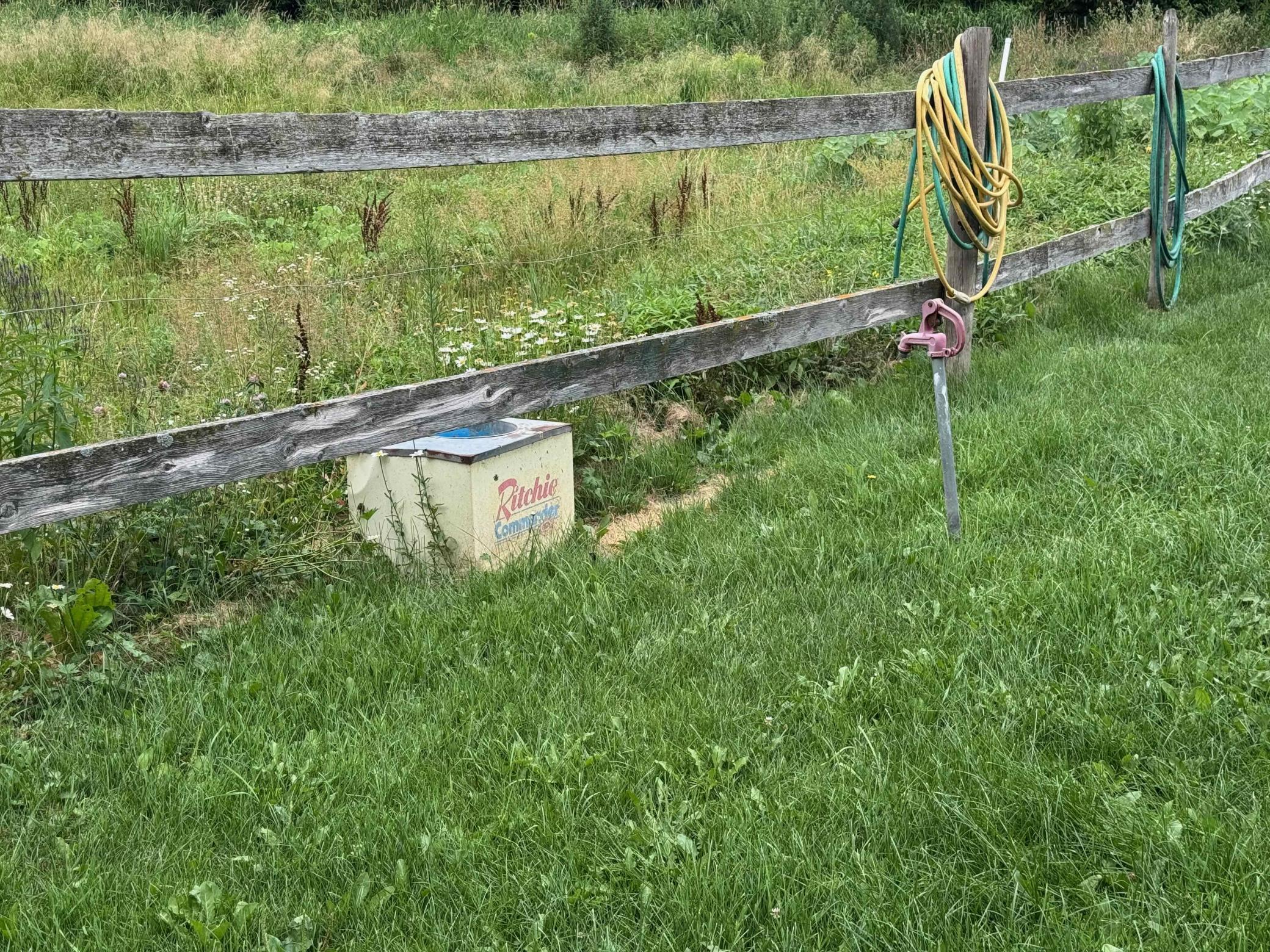 Automatic waterer