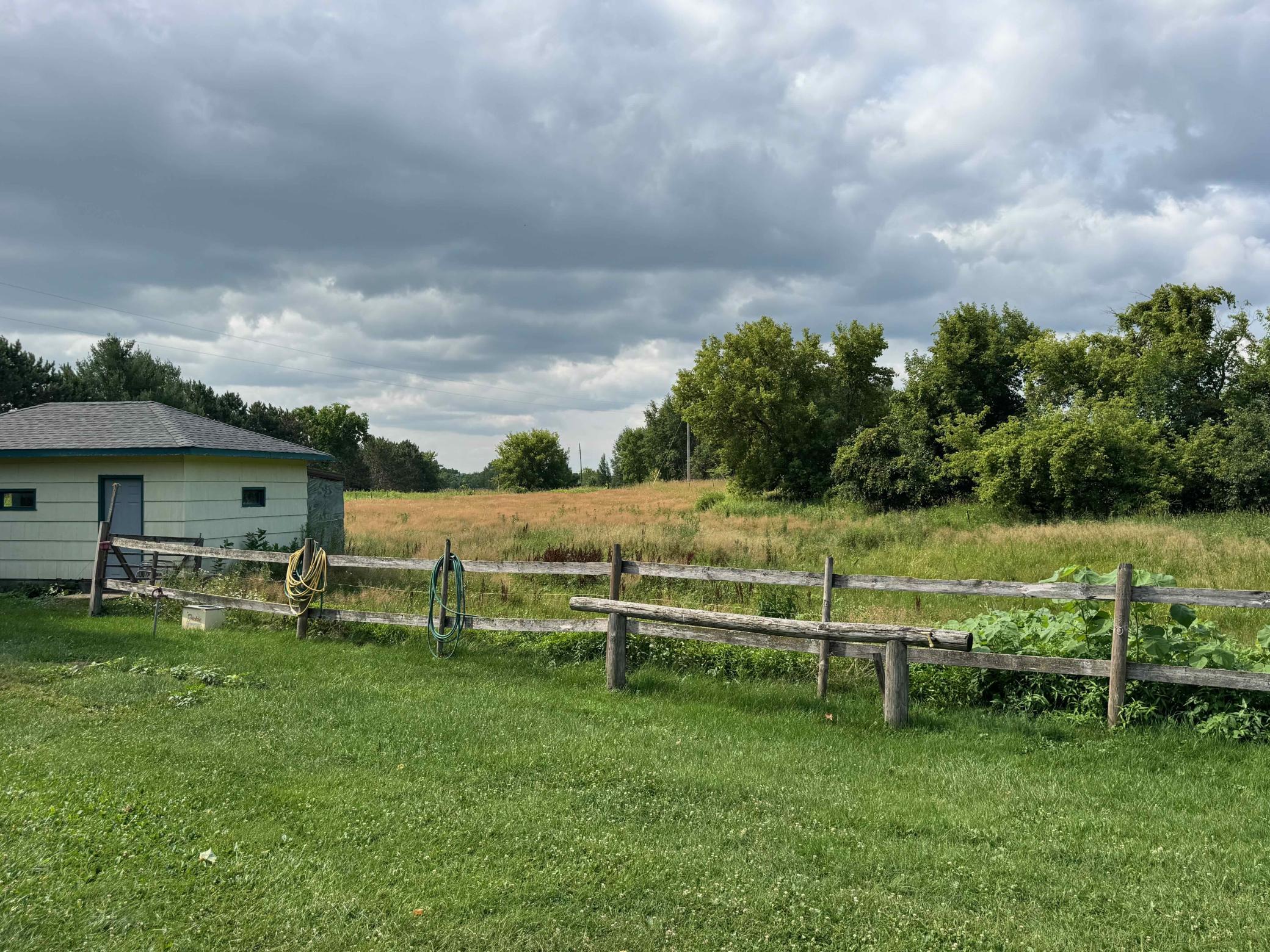 Horse grazing field