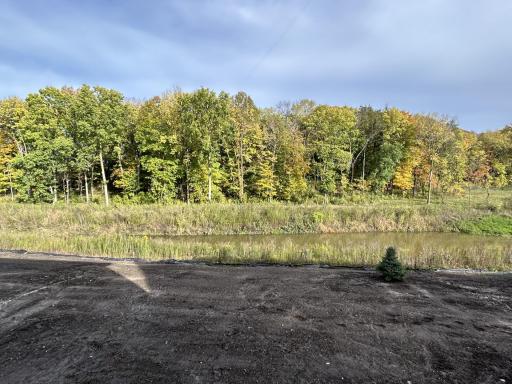 (Photo is of the actual backyard in progress.)