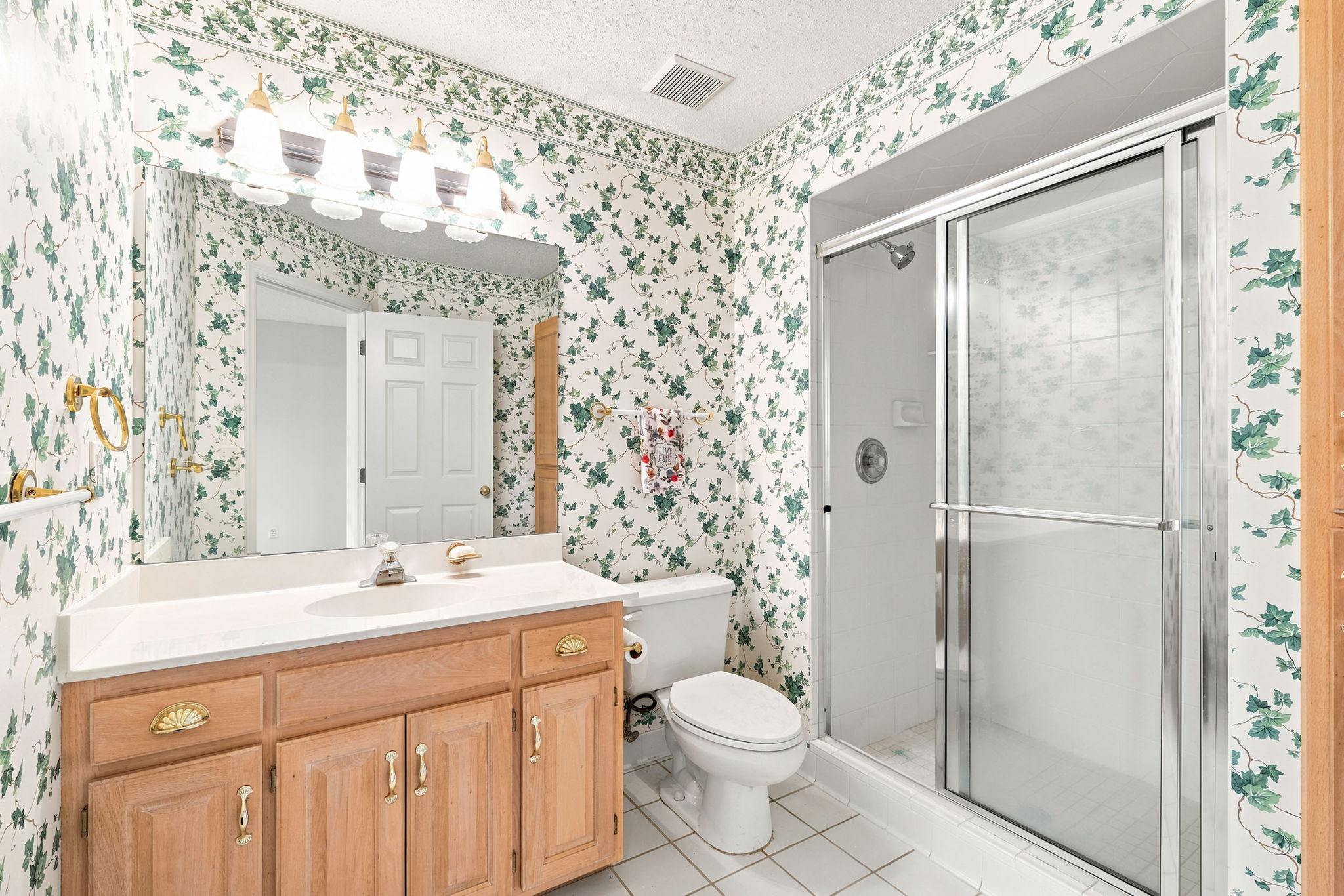 Lower Level Bathroom