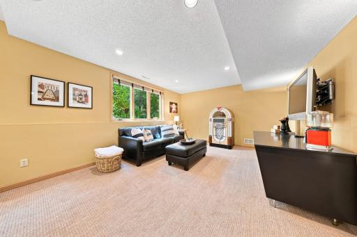 The lower level is an entertainer's paradise.