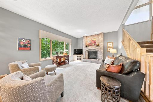 New carpet in the family room and look at the view to the backyard!