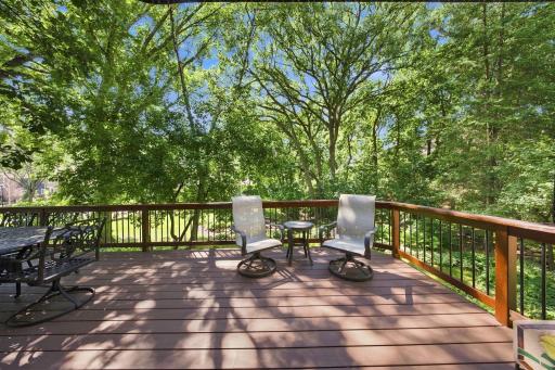 Trex decking and cedar and aluminum railings