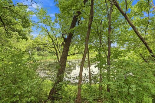22770 Penfield Avenue N, Scandia, MN 55073