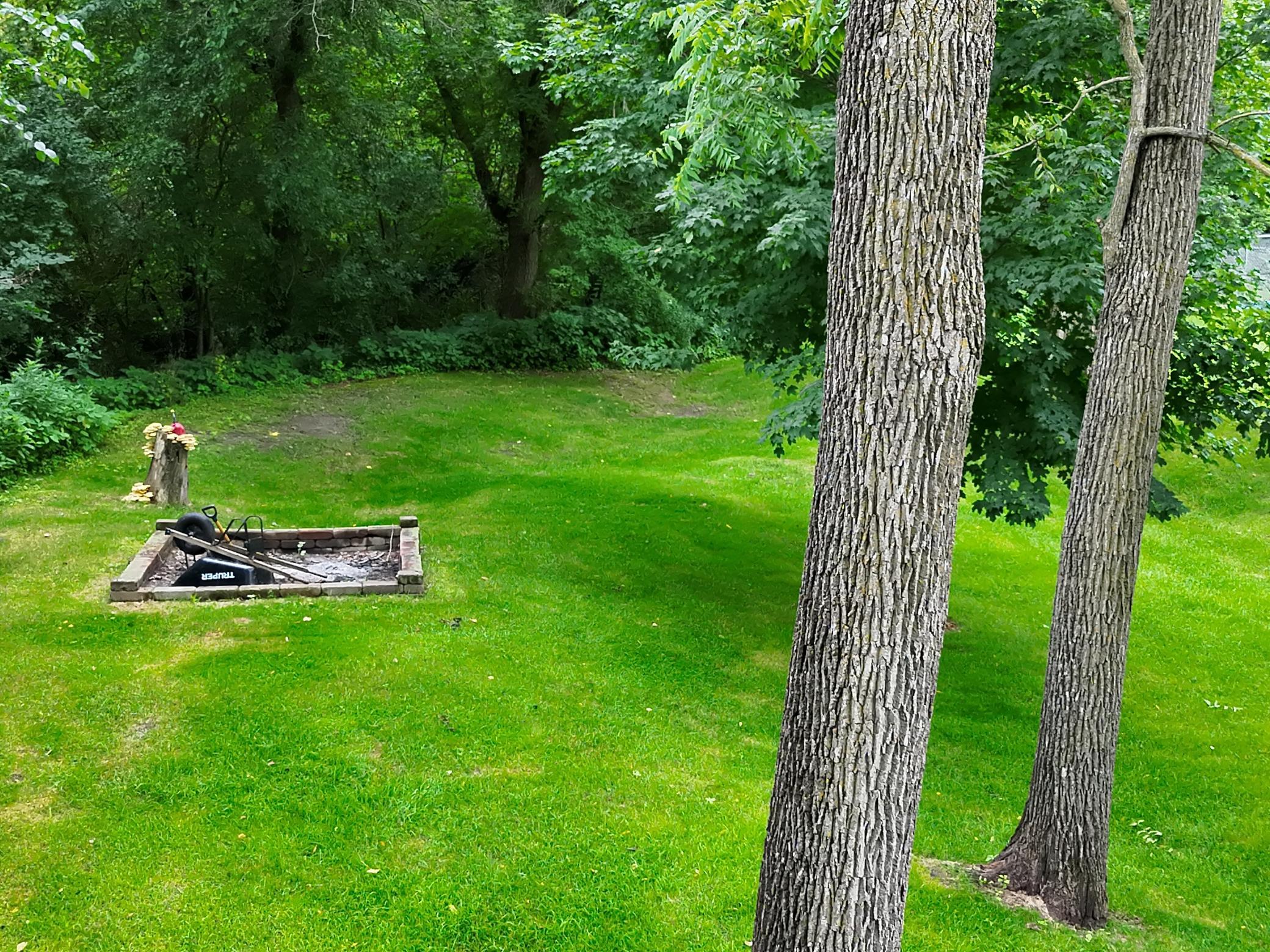Back yard