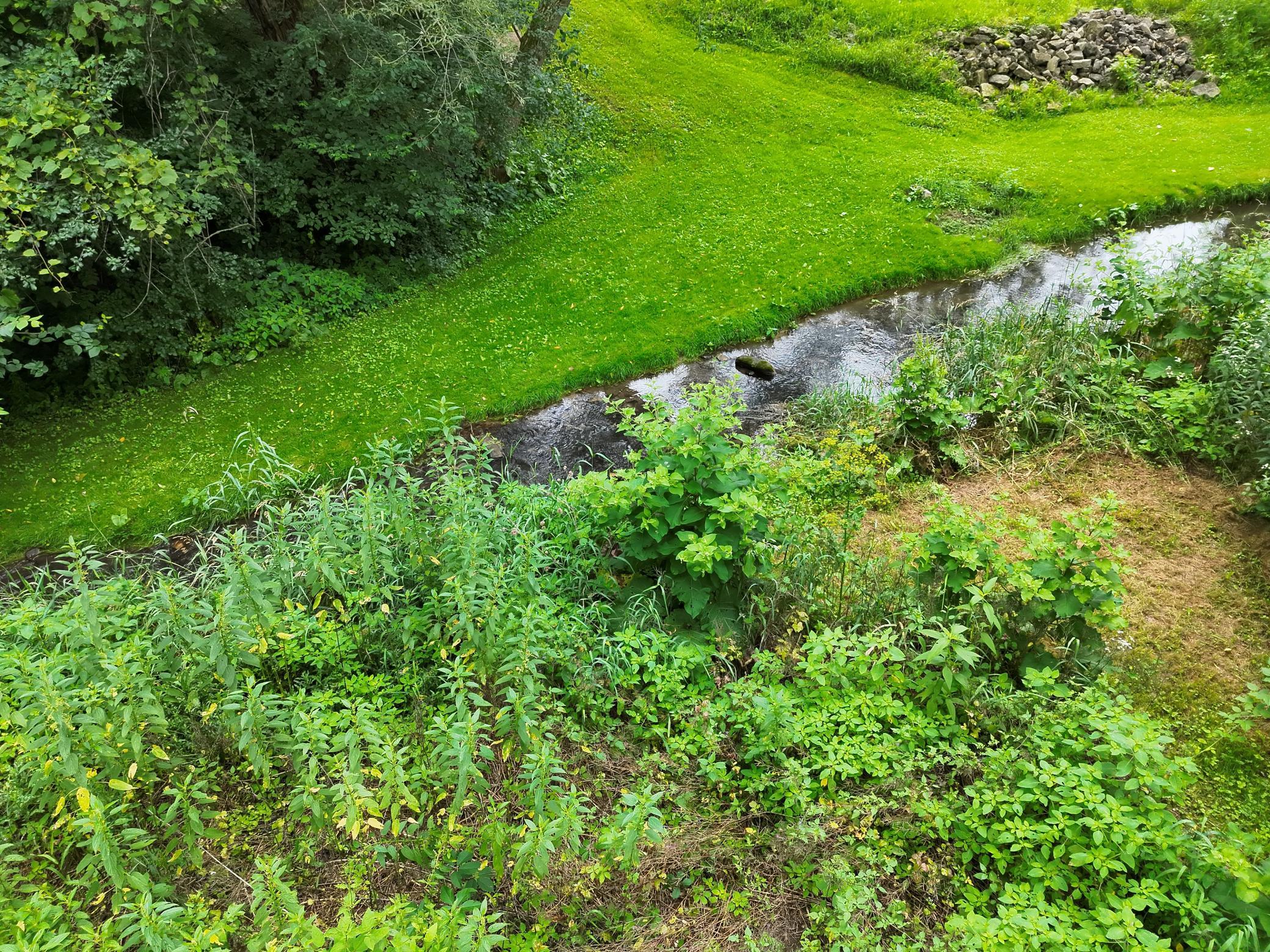 Creek