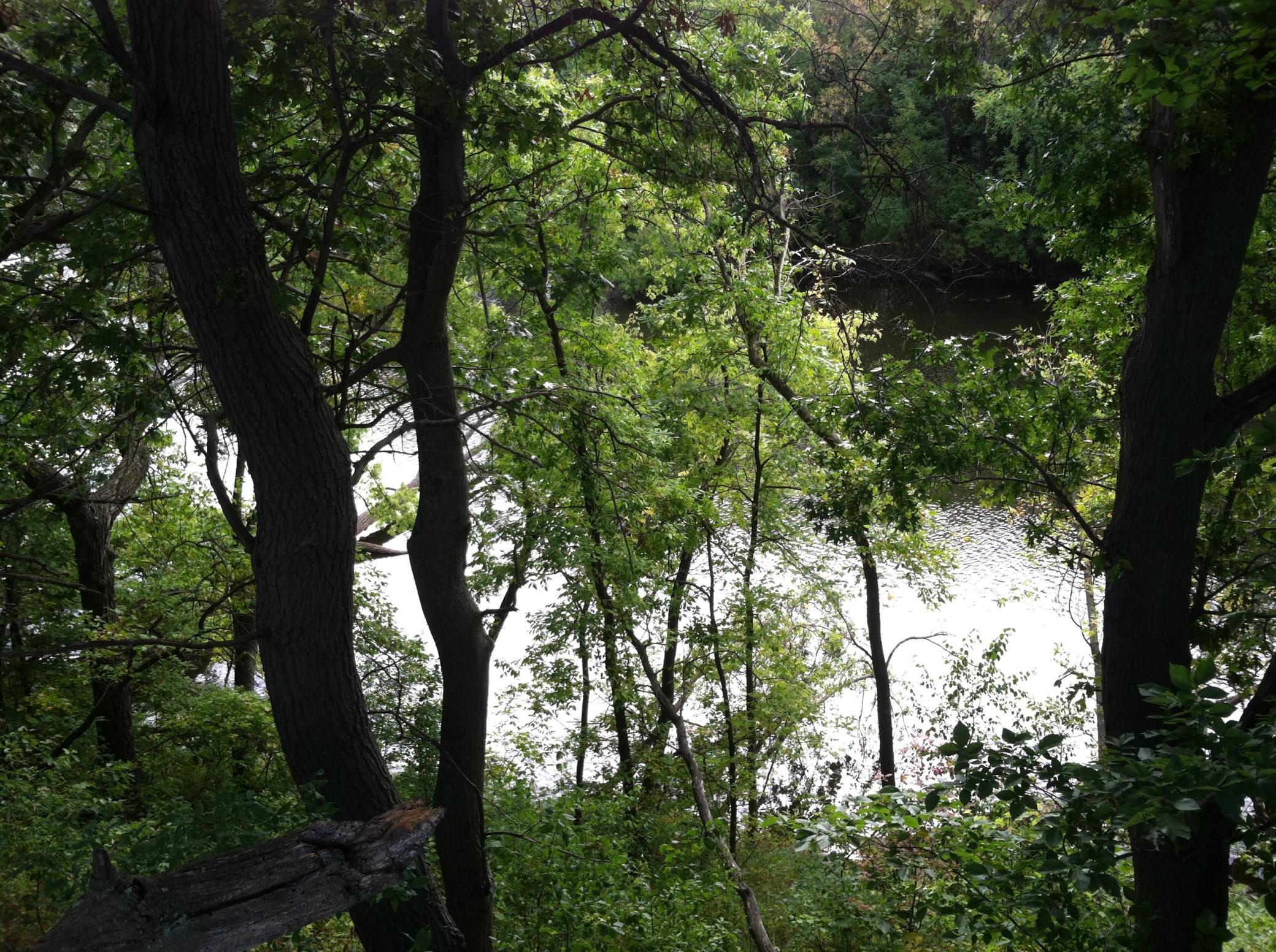 A view from the river bluff