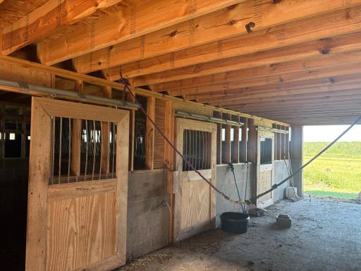 IMG_0974 (2).jpeg Horse stalls
