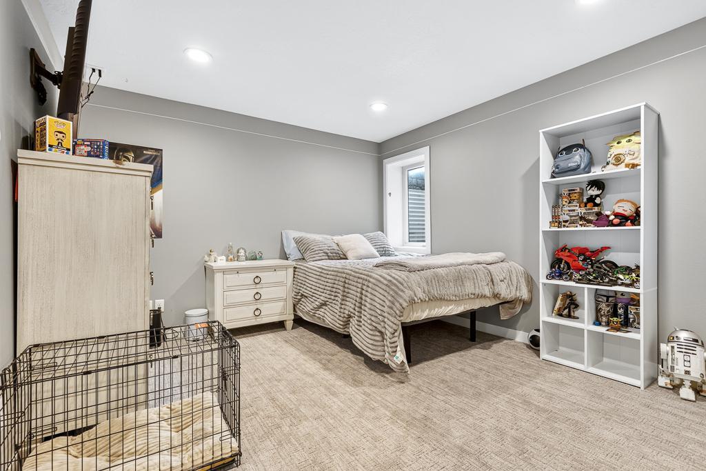 Lower level bedroom