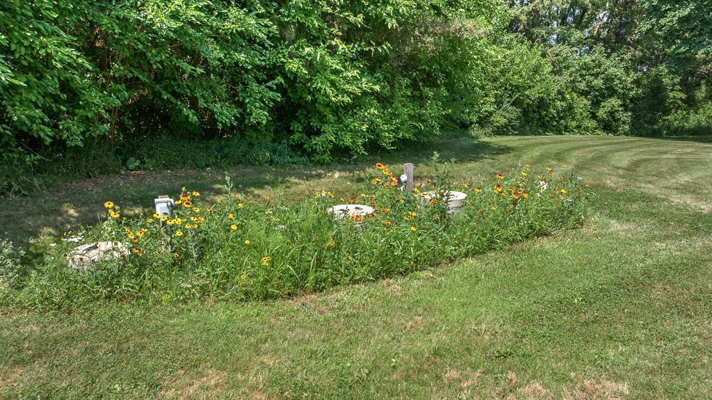 Wildflowers discreetly disguise the septic covers