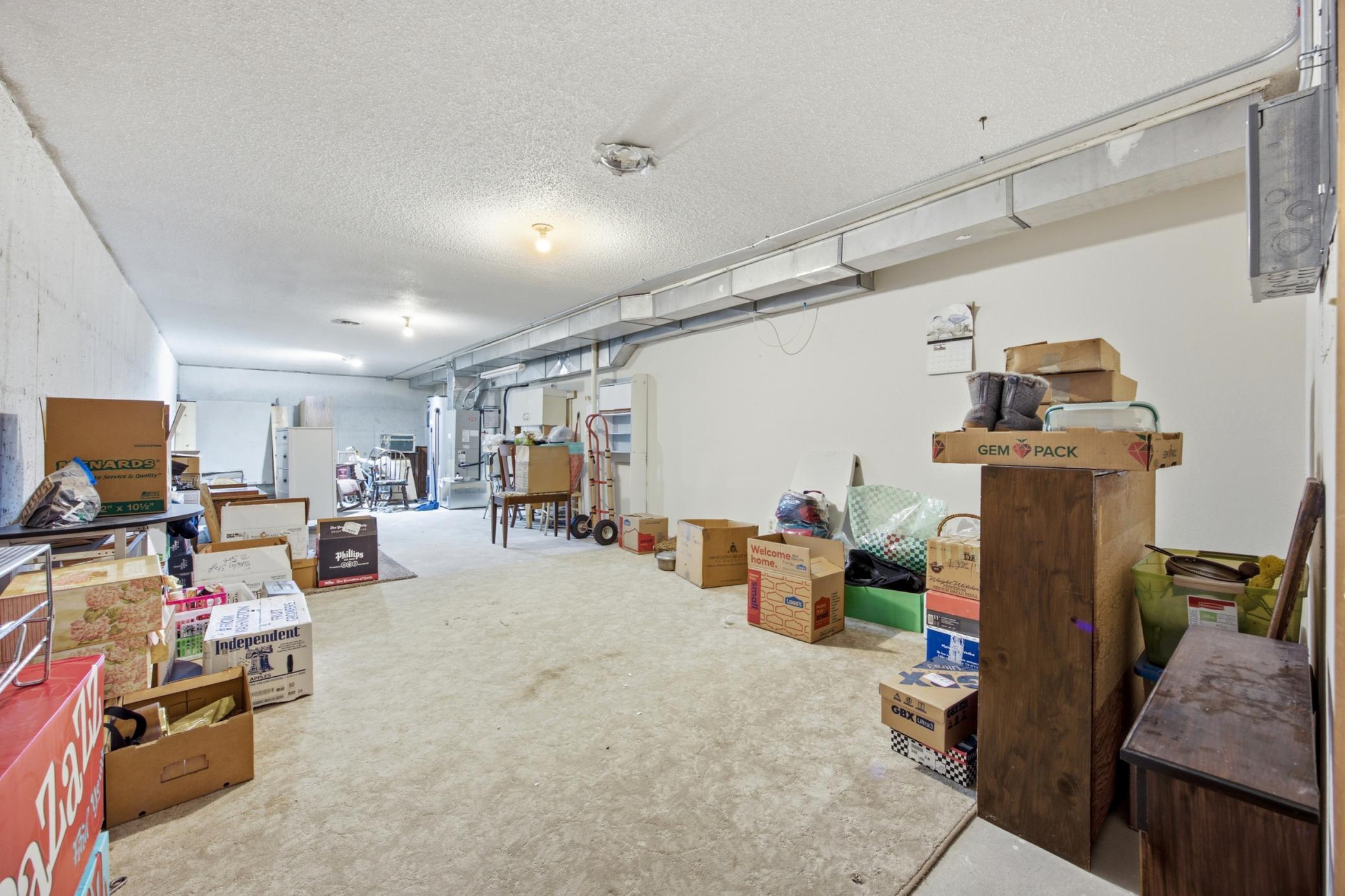 Lower Level Flex Room