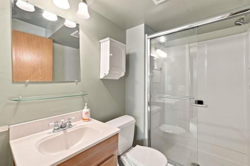 Lower level bathroom.