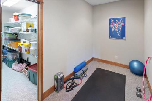 An impressive flex area currently used as a fitness area with an expansive attached storage room. This versatile area provides endless possibilities for recreation, hobbies, wellness, or customized needs while adding valuable a function in the home.