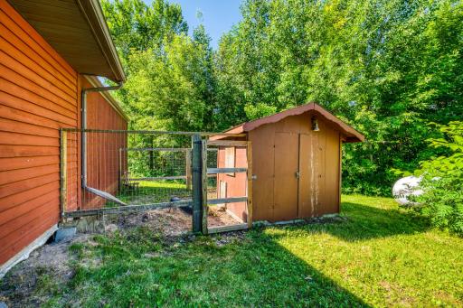 Chicken Coop
