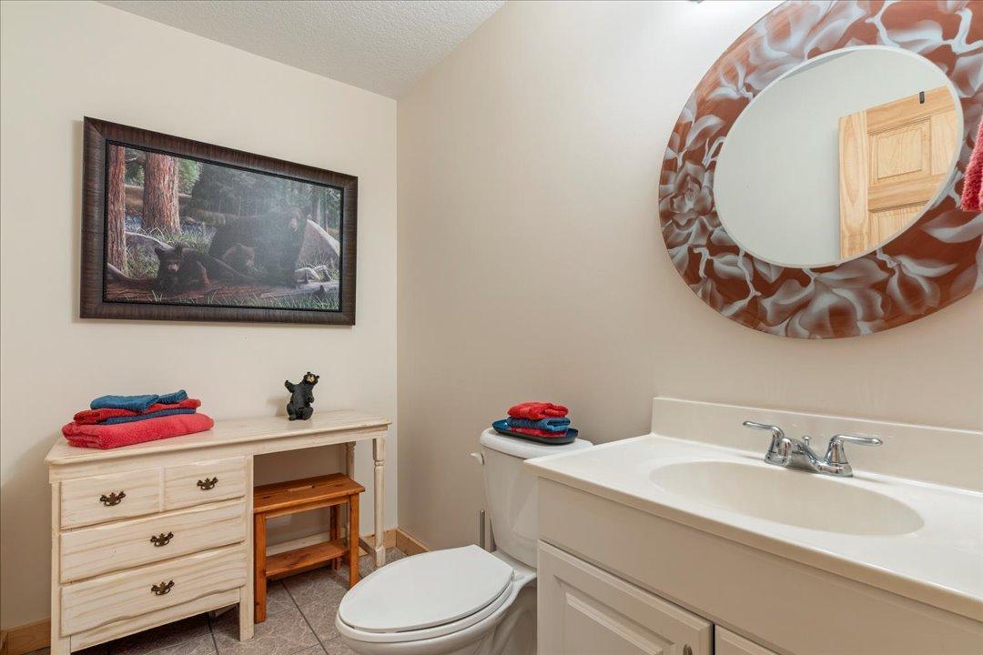Lower level bathroom