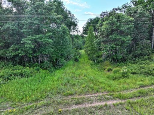 TBD US 71 - 16.7 AC, Park Rapids, MN 56470