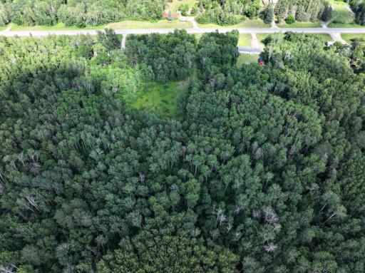 TBD US 71 - 16.7 AC, Park Rapids, MN 56470