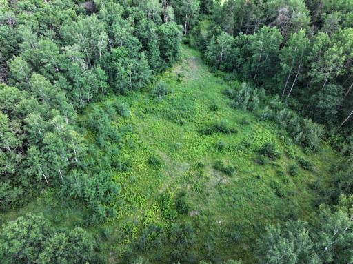 TBD US 71 - 16.7 AC, Park Rapids, MN 56470