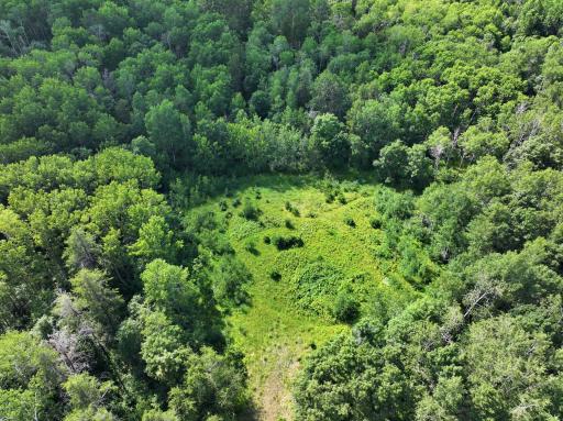 TBD US 71 - 16.7 AC, Park Rapids, MN 56470