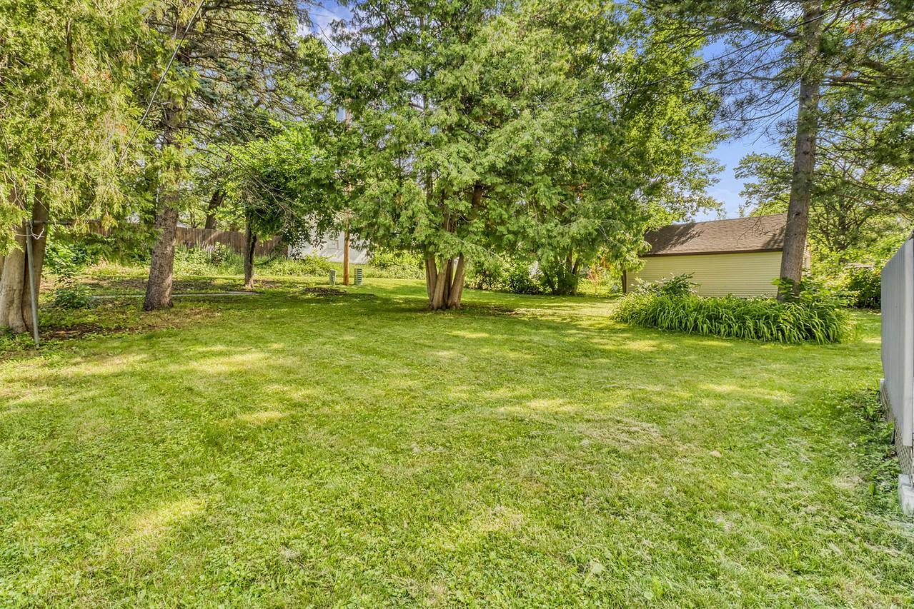 Backyard1_0-1280.JPG