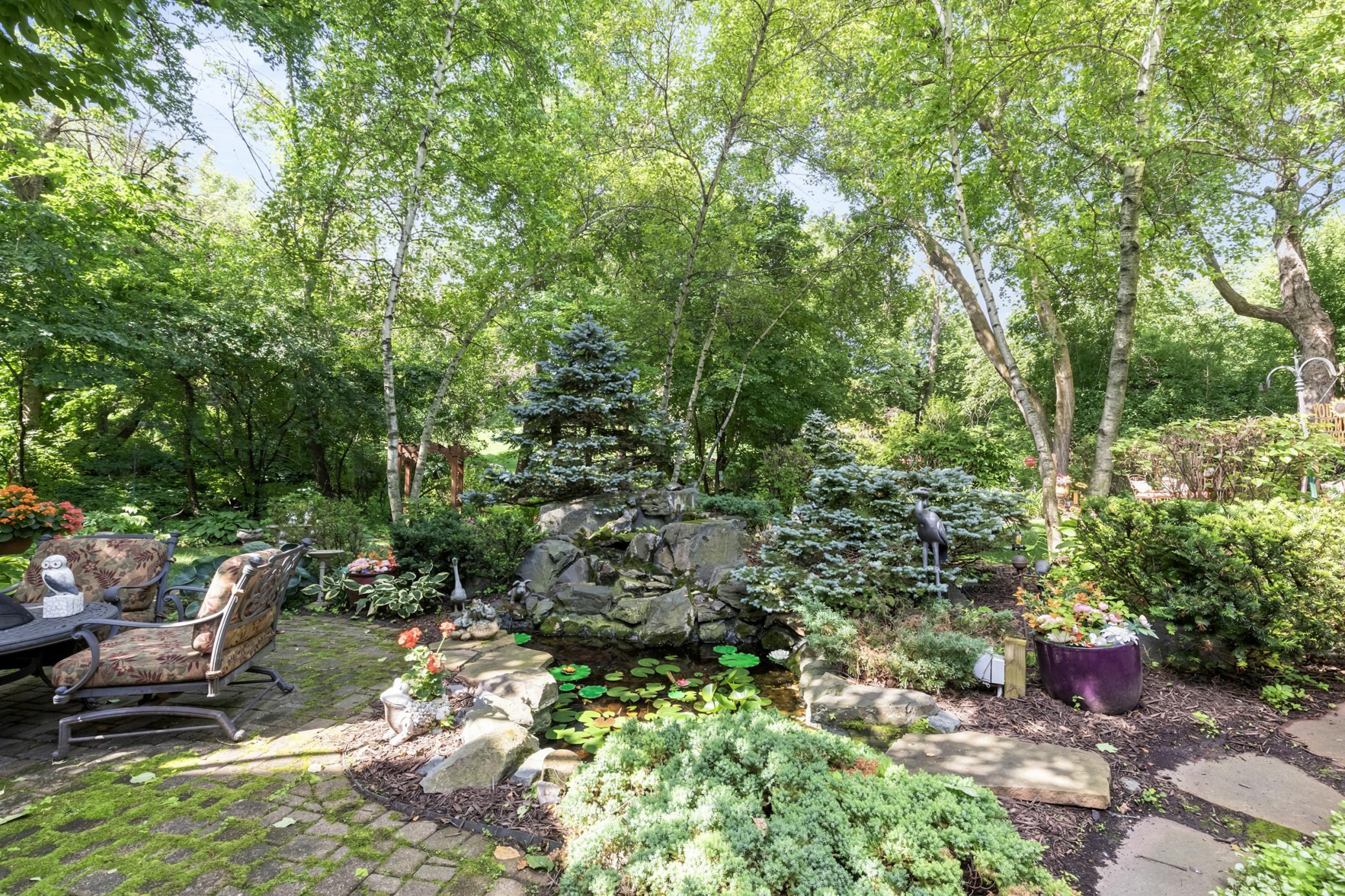 Back yard "mini pond"