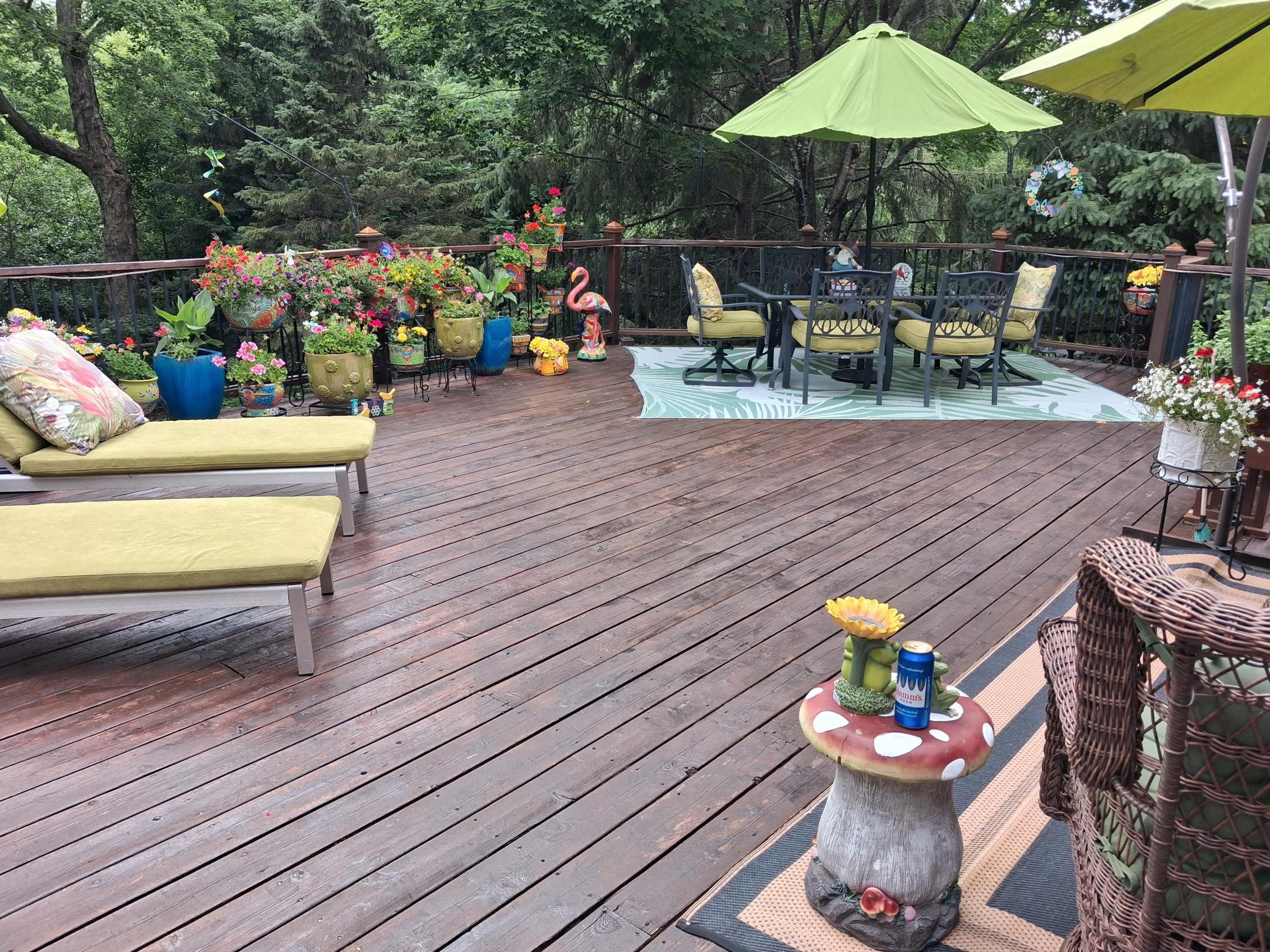 Dining on deck