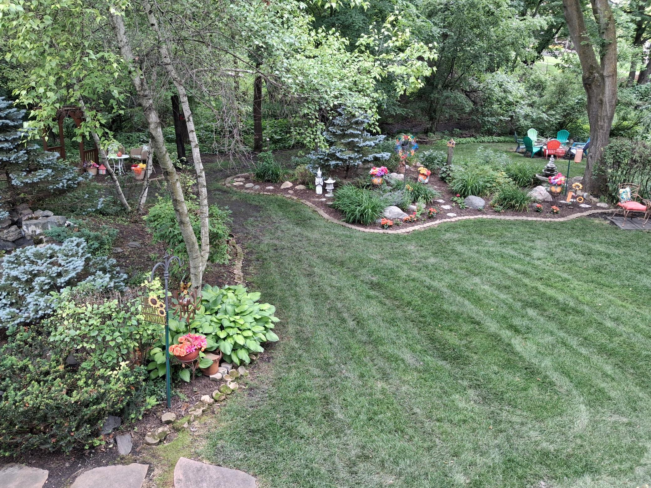 A "mini orchard"clear back