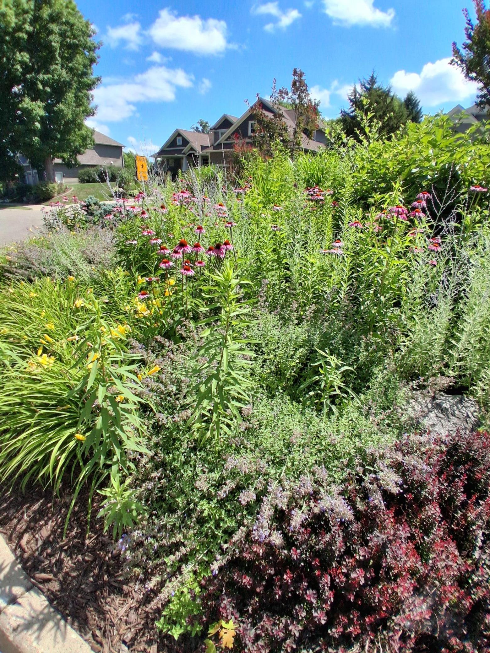 Flower Gardens maintained in green spaces