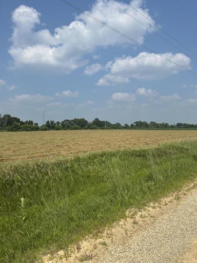 Lot 3 Block 1 Cannon River Boulevard, Randolph, MN 55065