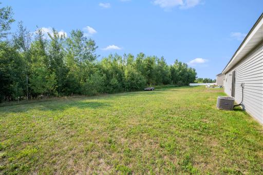 19106 Engle Wood Drive, Big Lake, MN 55309