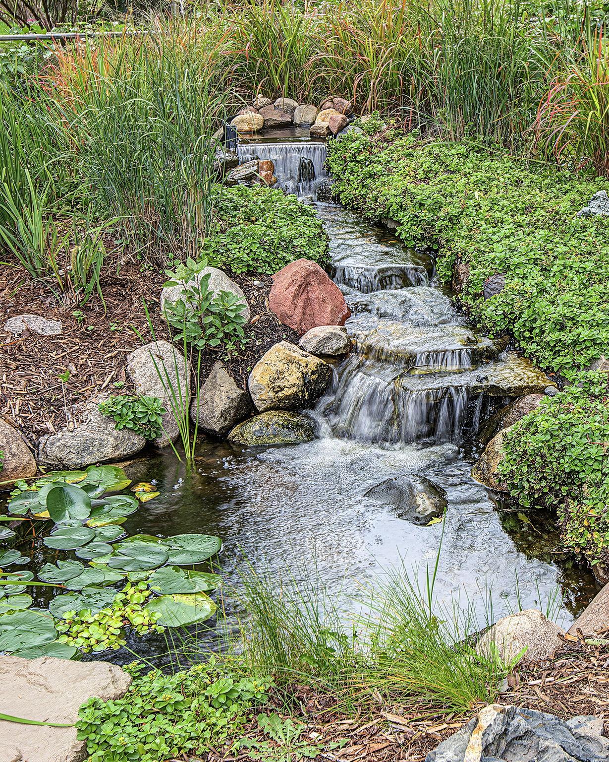 The tranquility of the yard is amped up by this beautiful water garden with rock falls. You can feel like you are on vacation in your own backyard.
