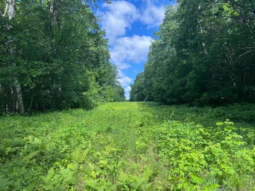 TBD Cedar Road, Cushing, MN 56443