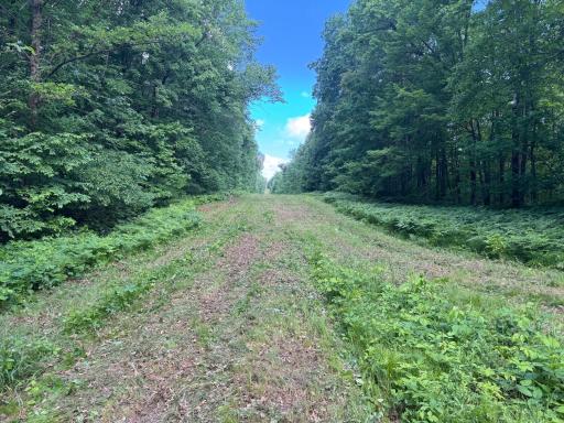 TBD Cedar Road, Cushing, MN 56443