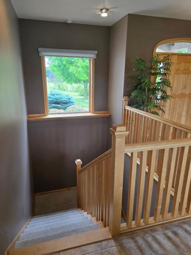 3698 135th Street, Plato, MN 55370