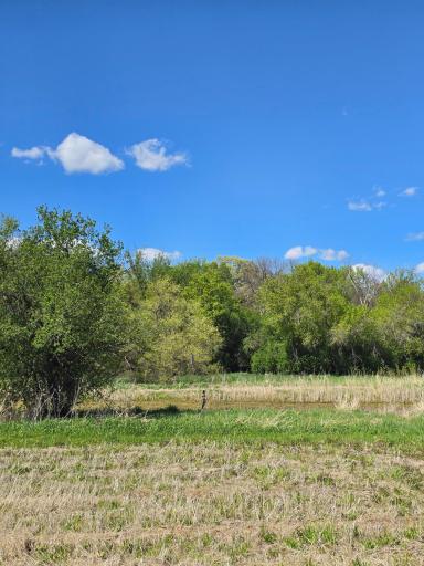 3698 135th Street, Plato, MN 55370