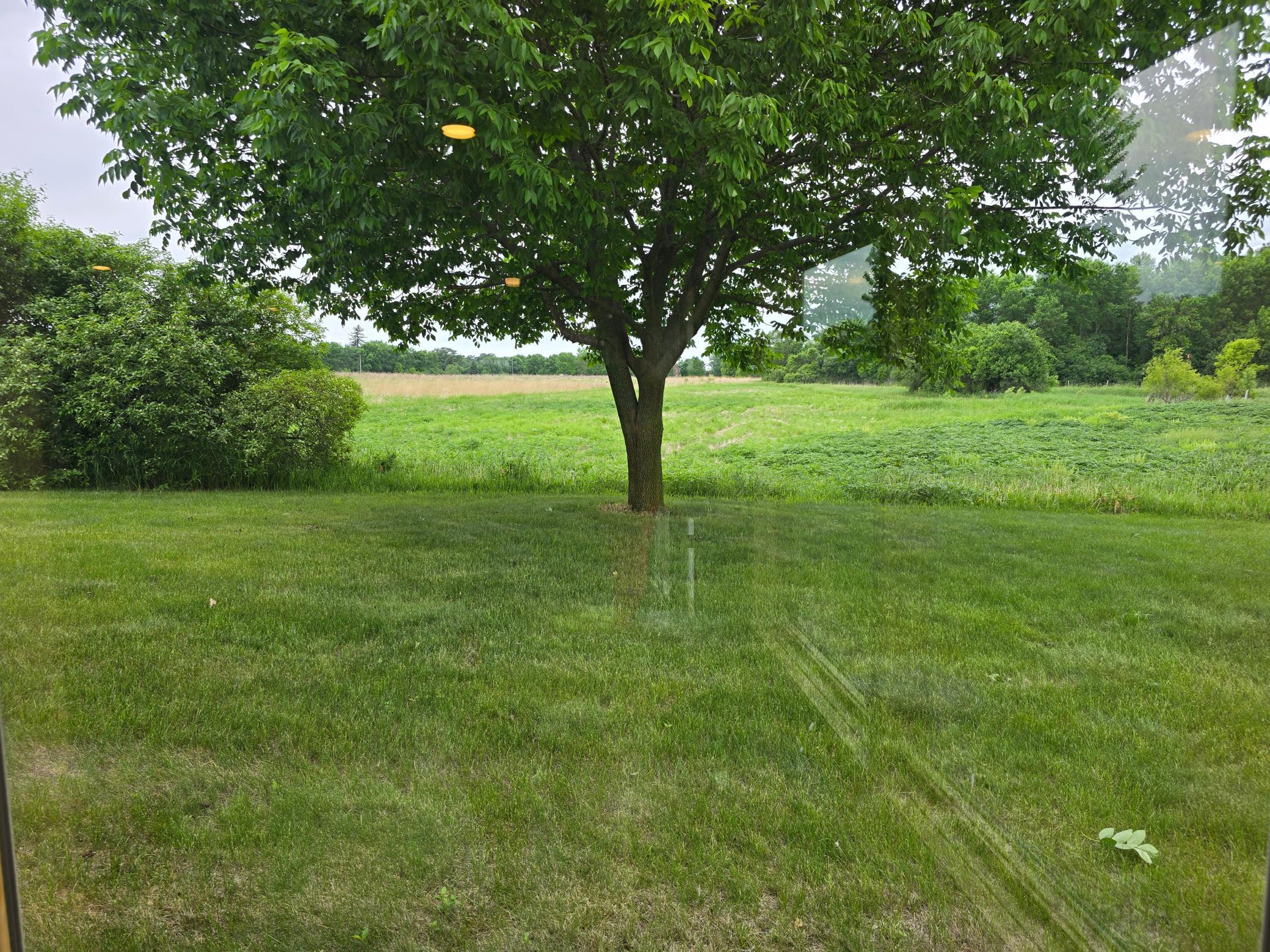 20260604_103624.jpg