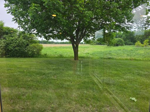 3698 135th Street, Plato, MN 55370