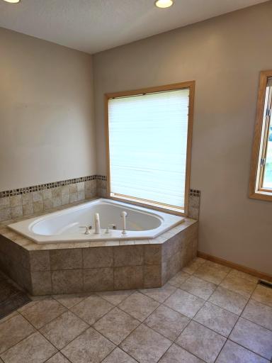 3698 135th Street, Plato, MN 55370