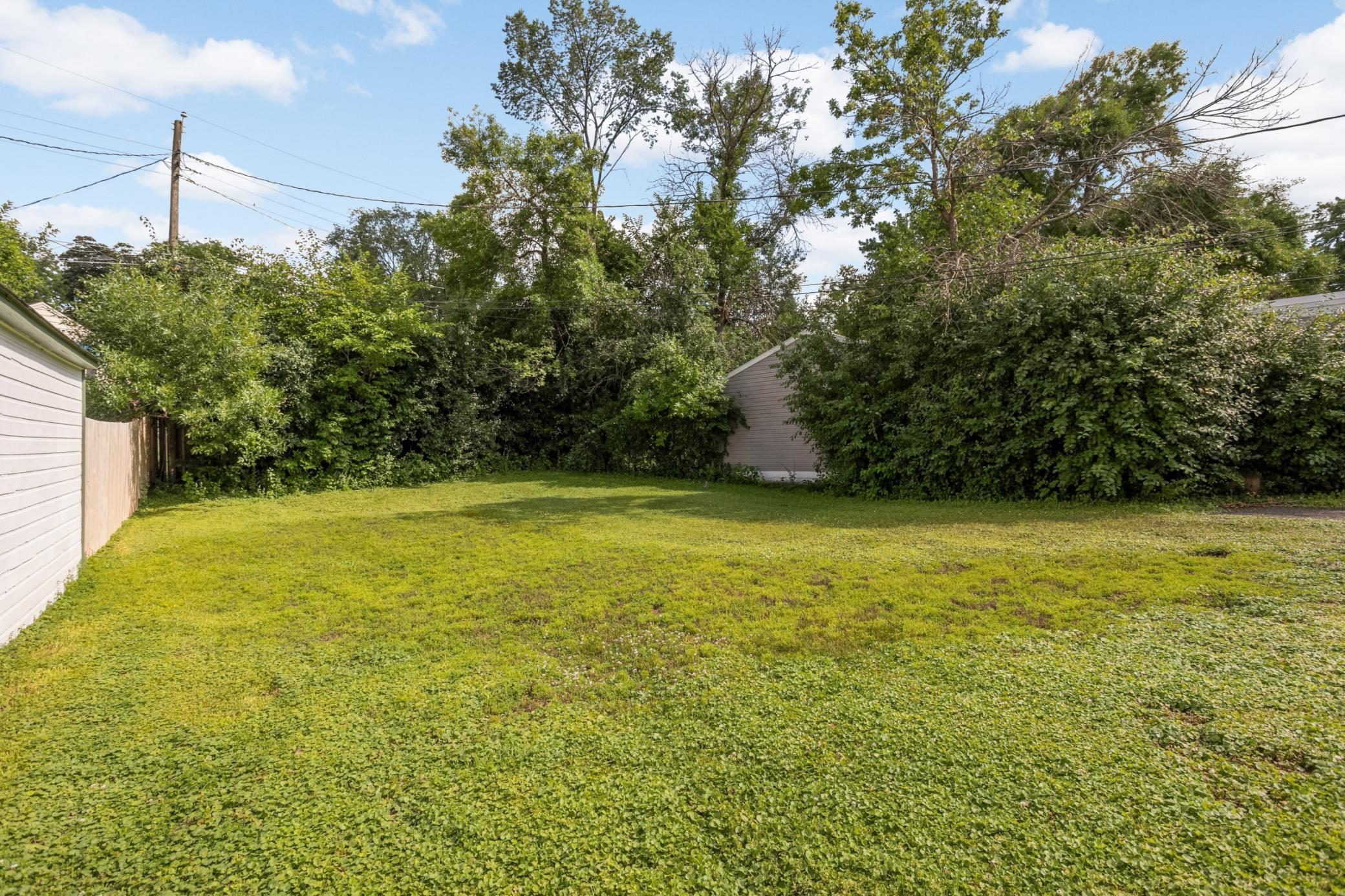 20 Backyard.jpg