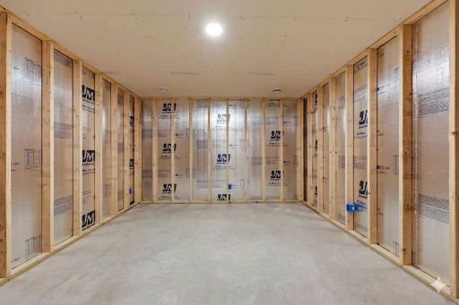 Unfinished Flex Room