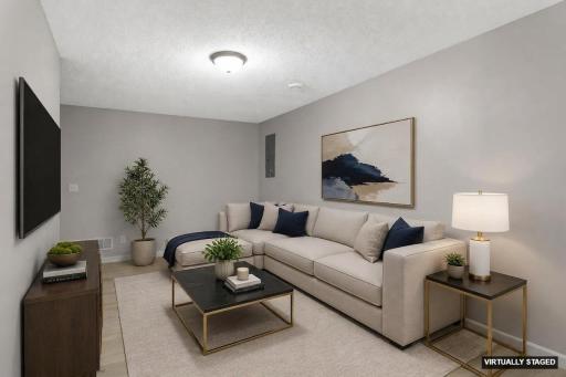 Lower level family room