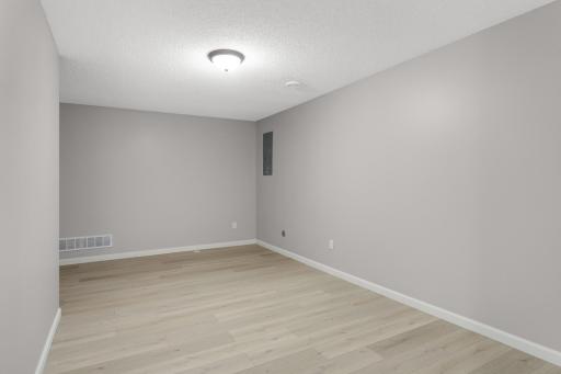 Lower level family room (unstaged)